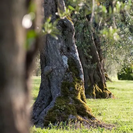 Agriturismo La Sosta Di Annibale *
