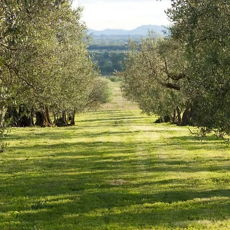 La Sosta Di Annibale