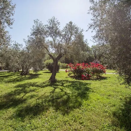 Agriturismo La Sosta Di Annibale Tuoro sul Trasimeno